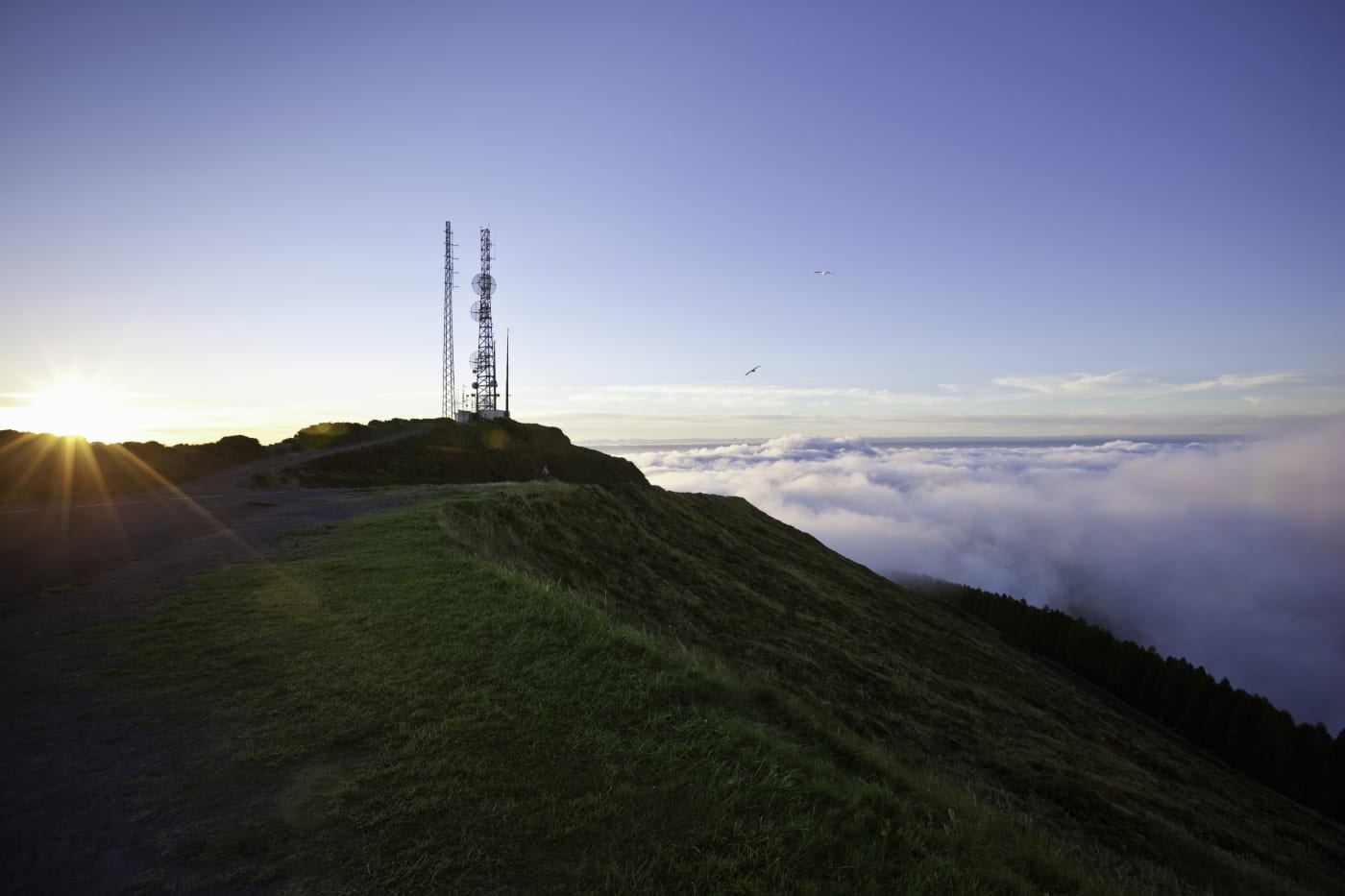 Telecoms mast on top of a hill at sunrise.